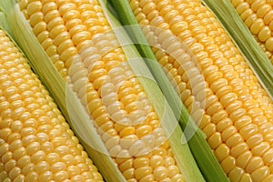 Corn cobs