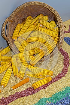 Corn Cobs Basket