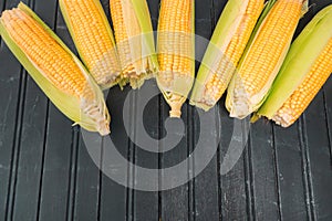 Corn cobs on a black background
