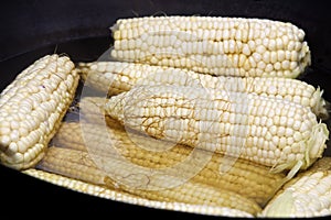 Corn cobs in the black pot on the stove