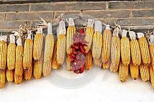 Corn cobs and chillies, China