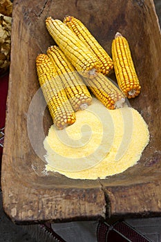 Corn cobs and corn flour in a wooden trough, presented at an agricultural exhibition.
