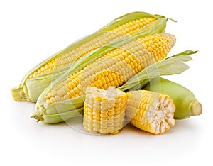Corn on cobs kernels and broken isolated on white background