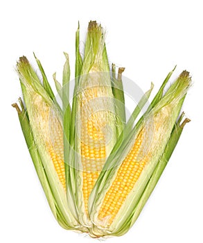 Corn cobs produce