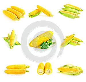 Corn cobs set