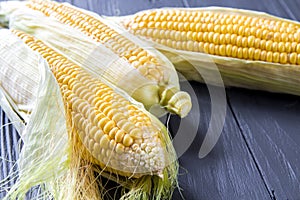 Corn cobs on the wooden table. Macro view