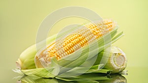 Corn cobs on yellow and green bright background. Fresh raw ripe Sweetcorn closeup. Corn on the cob