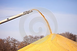 Corn conveyor