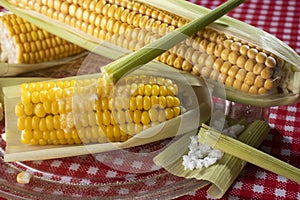 Corn Cooked with butter and salt in the straw photo