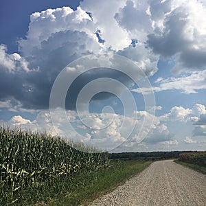 Corn Country