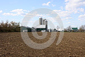 Corn Crop Silage Harvest on Farm Field Barren