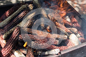 Corn ears in a barbeque fire