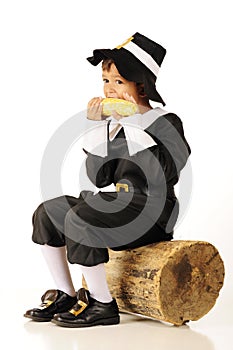 Corn-Eating Pilgrim