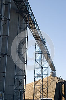 Corn elevator conveyor