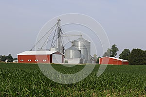 Corn farm and corn grain processing in the American Midwest. Corn can be processed into feed, fuel or consumer food products