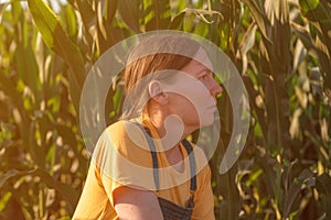 Corn farmer in field, portrait of agronomist woman