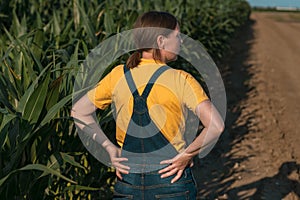 Corn farmer in field, portrait of agronomist woman