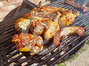 Corn fed chicken thighs and drumsticks with outdoor pork belly prepared on a charcoal grill