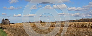 Corn Field photo