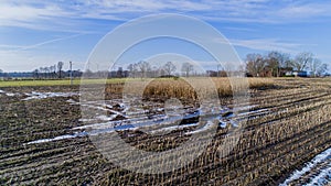 Corn field is affected by the drought dryness in winter