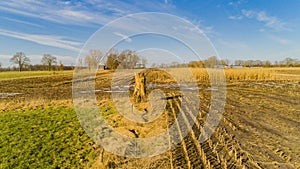 Corn field is affected by the drought dryness in winter