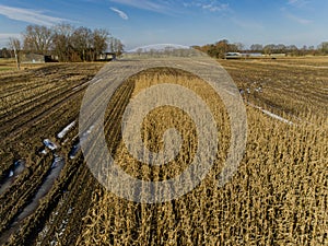 Corn field is affected by the drought dryness in winter