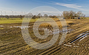 Corn field is affected by the drought dryness in winter