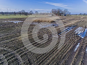 Corn field is affected by the drought dryness in winter