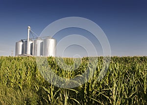 Corn field with agricultural silos