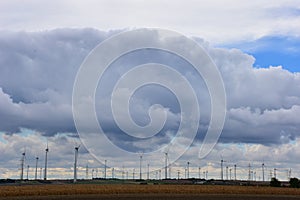 Corn field, behind is a field with windmills. Landscape from the Netherlands