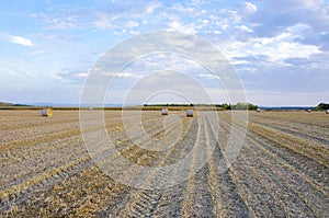 Corn field, blue sky and bales of hay