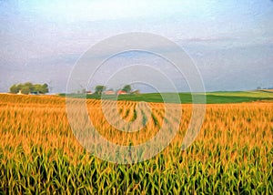 Corn field with blue sky and red barn.