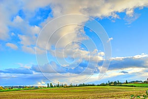 Corn Field Clouds Ridgefield WA.