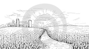 Corn field. Hand drawn agricultural engraving with summer and autumn maize cobs. Farm house and silos. Black and white