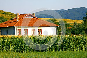 Corn field house