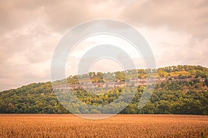 Corn Fields below the Mississippi bluffs.