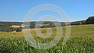 Corn fields, Meadows and forest in the Luxembourg countryside