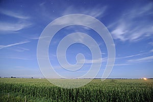 Corn fields at night in Iowa