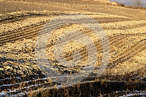 Corn Fields' Textures after Harvestry