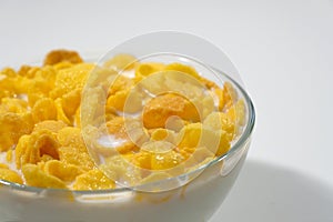 Corn flakes in a bowl on a gray background close-up