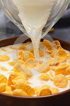 Corn flakes in a bowl with milk. Corn flakes for morning breakfast