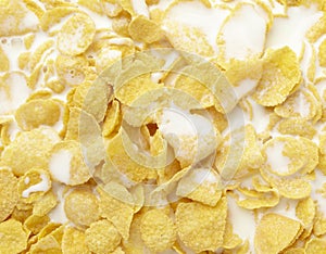 Corn flakes cereals muesli food milk