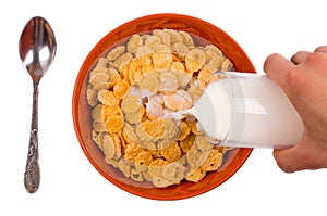 Corn flakes fill in with milk on a white background