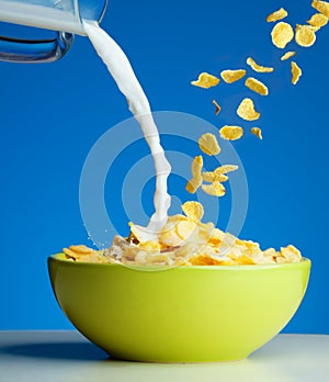 Corn flakes with milk photo