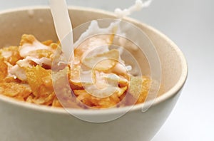 Corn flakes with img