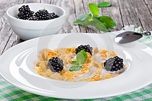 Corn flakes with milk and blackberry in white dish