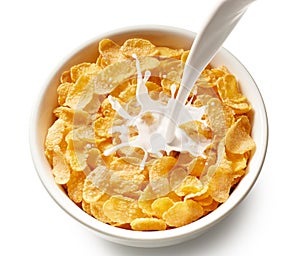 Corn flakes with milk photo