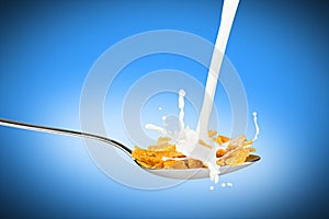 Corn flakes milk splash