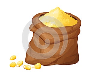 Corn flour in wooden bowl with seeds. Healthy gluten free food. Powde in organic product. Vector illustration isolated