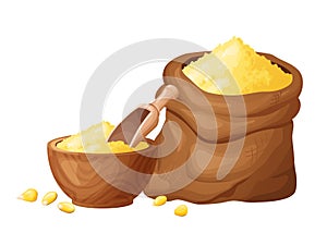 Corn flour in wooden bowl with seeds. Healthy gluten free food. Powde in organic product. Vector illustration isolated